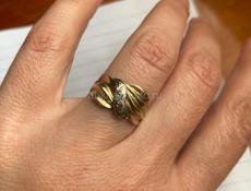 Золотое кольцо