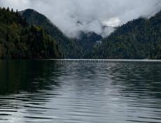 Сниму дом, квартиру 