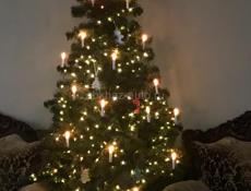 Продаётся елка