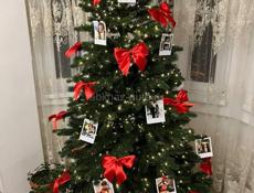 Сниму будку на площади возле елки срочно 