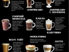 Ищу  работу есть опыт бармена и бариста 