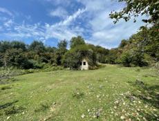 Участок 50 соток