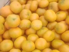 мандарин средный крупный продаю по 45 рублей, 