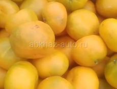 мандарин средный крупный продаю по 45 рублей, 