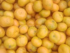 мандарин средный крупный продаю по 45 рублей, 