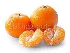 Ищем работу на сбор 🍊Мандарин