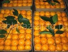 Ищу работу на переборку Мандарин