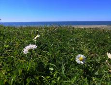 🌸ПРОДАЕТСЯ ДОМ. АГУДЗЕРА 🏖️
