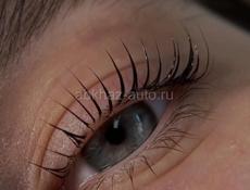 Обучение по ламинированию ресниц и бровей, так же архитектура бровей и окрашивание 