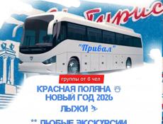 ПЛЮШКИ красная поляна