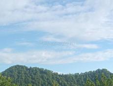 Продаеся бельетажный дом в селе Дзигута рядом с Гаруда Глэмепинг.