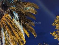 Бармен, ищу работу 