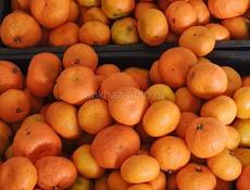 Продам Мандарины