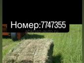 Сено в тюках 