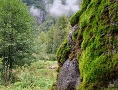 Ишю работу водителем телохранителем охранником семейный водителем опыт работы большой без вредных привычек 