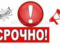 Срочно двух комнатная 