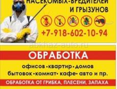 Уничтожение насекомых, грызунов, плесени