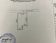 Цандрипш ! Торг хороший! Док в порядке ! 35 🍋