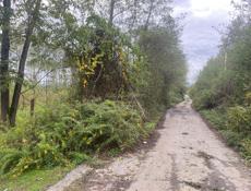 АЭРОПОРТ 12 СОТОК СРОЧНО