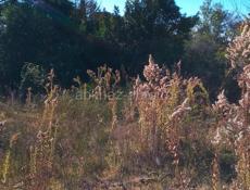 Агу поворот