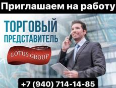 Требуются торговые представители 