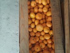 Продаётся мандарины 