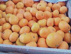 Мандарины около 6 тонн