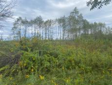 Аэропорт 12 соток