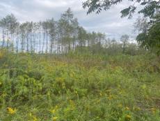 Аэропорт 12 соток