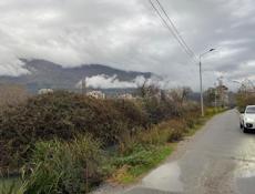 С документами от 1🍋 за сотку 