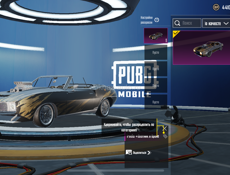 Акк в пабге