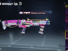 Акк в пабге