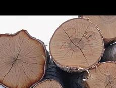 Продам дрова кряжами, бук 8,5 кубов 