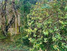 УЧАСТОК 11 СОТОК С ВИДОМ НА МОРЕ П. ПСАХАРА