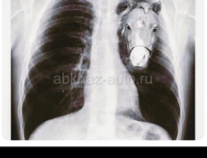 Бармен или официант 