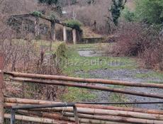 П. Бзыб 3 километор  50 сот земли 