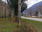 Участок 50 соток на 10км  Рицинского национального парка