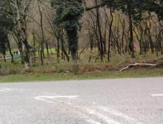 Участок 50 соток на 10км Рицинского национального парка