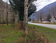 Участок 50 соток на 10км  Рицинского национального парка