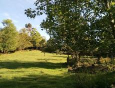 УЧАСТОК 42 СОТКИ В СУХУМЕ НА ЧАНБА ЗА 5млн.₽