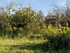 УЧАСТОК 42 СОТКИ В СУХУМЕ НА ЧАНБА ЗА 5млн.₽