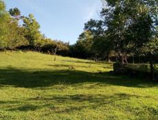 УЧАСТОК 42 СОТКИ В СУХУМЕ НА ЧАНБА ЗА 5млн.₽