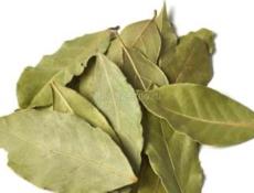 Лавровый лист 