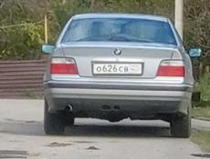 Ищем работу сбор мандаринов 