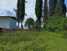 Участок за 1000 000 все в шаговой доступности 