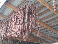 Сушка хурма