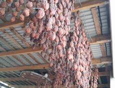 Сушка хурма