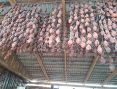 Сушка хурма