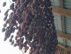 Сушка хурма