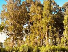 Участок аэропорт СРОЧНО